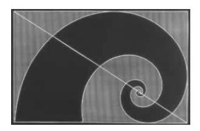 Nautilus spiral